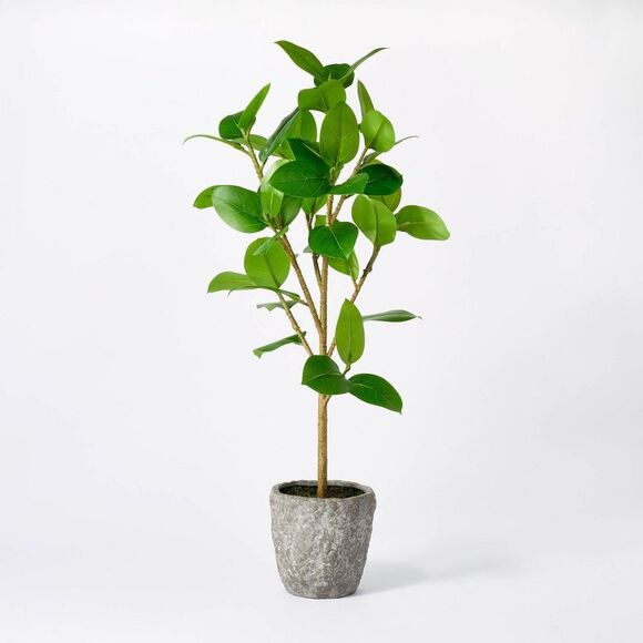 Threshold Wall Decor Banyan Tree Potted Threshold Designed With